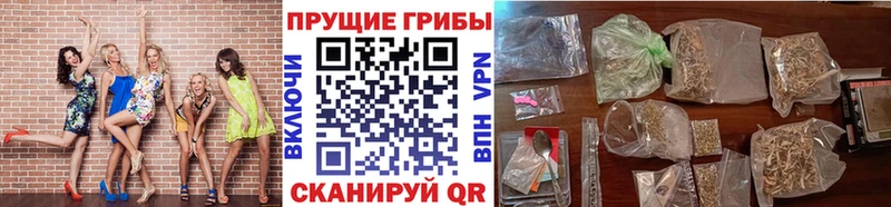 Галлюциногенные грибы мухоморы  Купить где  Дюртюли 